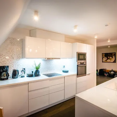 Lux Penthouse Near Wenceslas Square