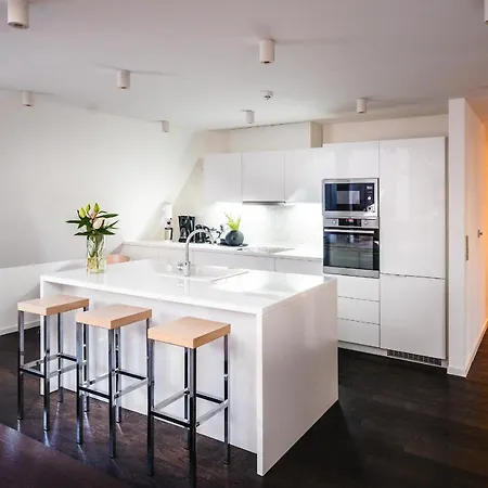 Lux Penthouse Near Wenceslas Square Apartment *