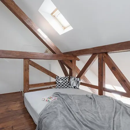 Bright And Spacious Attic Apartment Prague