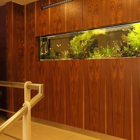 Hotel Amarilis 4*