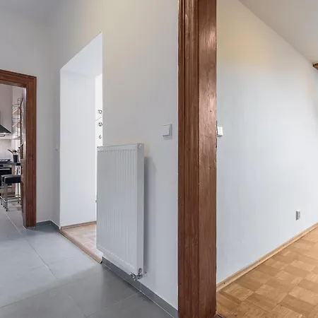 Bright And Spacious Attic * Prague
