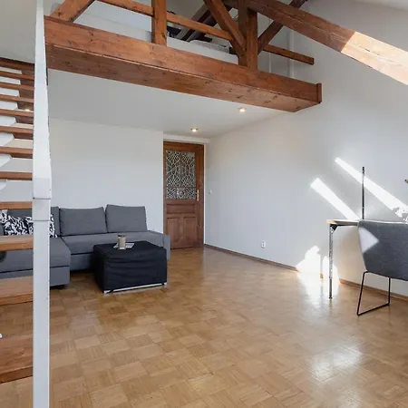 Bright And Spacious Attic Apartment
