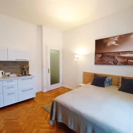 Apartment -studio