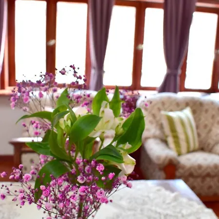 Apartment Old Town Konviktska - Bohemian