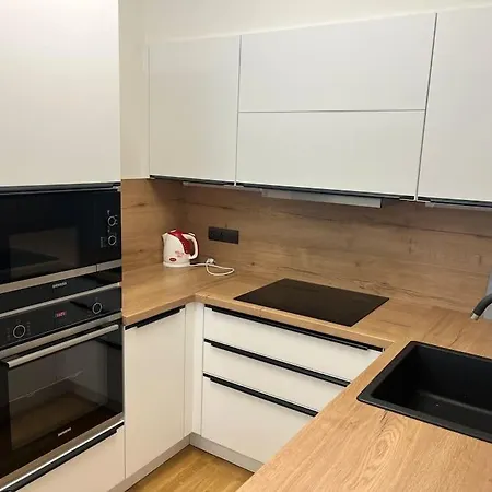 Apartmán Holesovice,balkon,garaz Praha