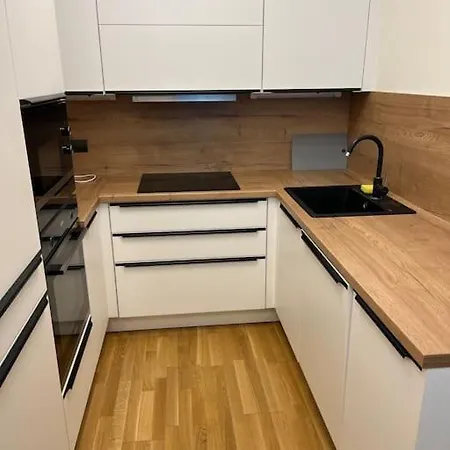 Apartmán Holesovice,balkon,garaz *