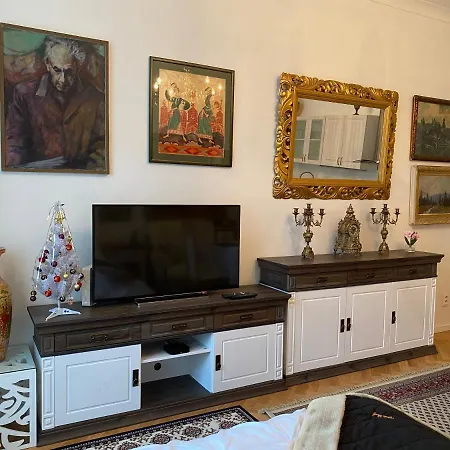 Apartment Slavikova *