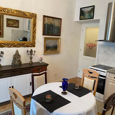 Apartment Slavikova *
