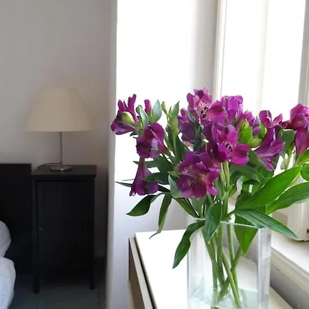 Garden On Art Nouveau Street In Apartment *