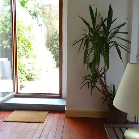 Garden On Art Nouveau Street In Apartment