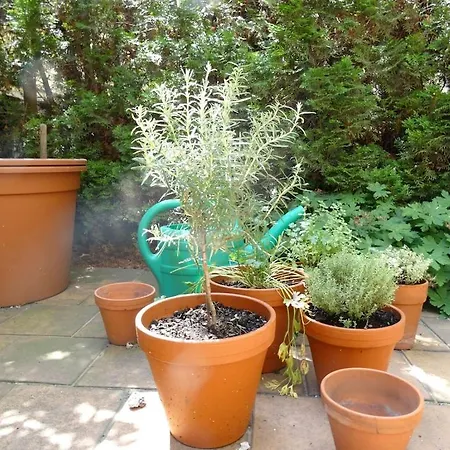 Apartment Garden On Art Nouveau Street In *