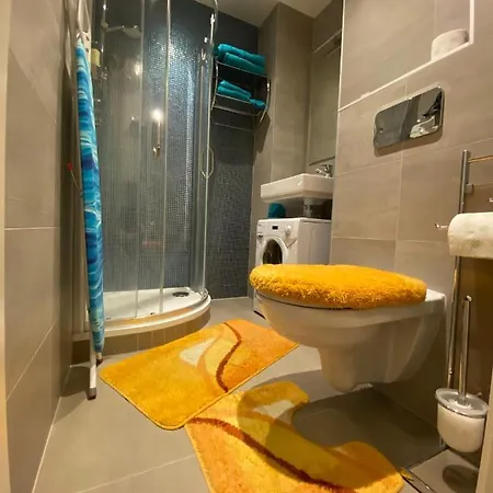 Apartment Slavikova *