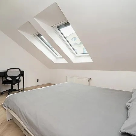 Big 4-bedroom Flat, Terrace With Great Vitkov View Apartment Prague