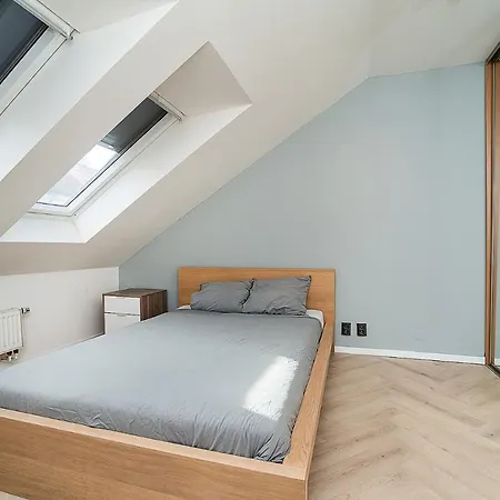 Apartment Big 4-bedroom Flat, Terrace With Great Vitkov View Prague