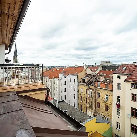 Big 4-bedroom Flat, Terrace With Great Vitkov View Prague