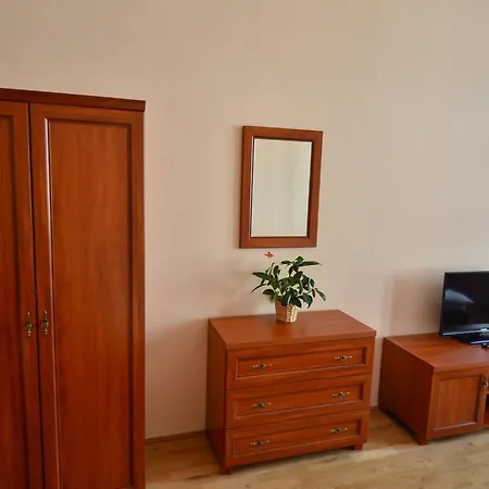 Guest house Karlova 3*