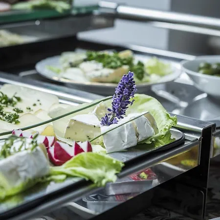 Hotel Wellness & Boutique Pod Lipkami Prague