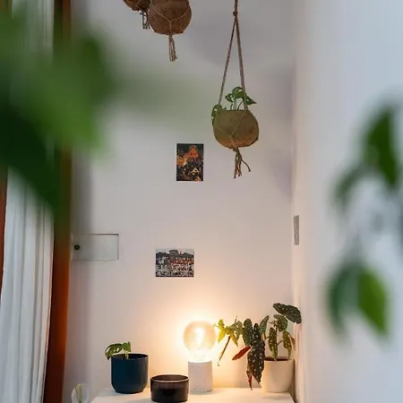 Maly Utulny Byt S Balkonem A Projektorem