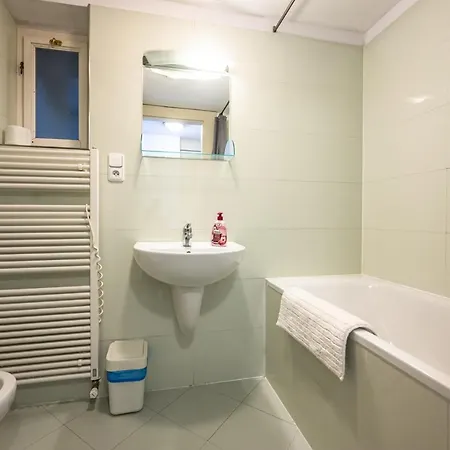 Jiriho Z Podebrad Apartment Prague