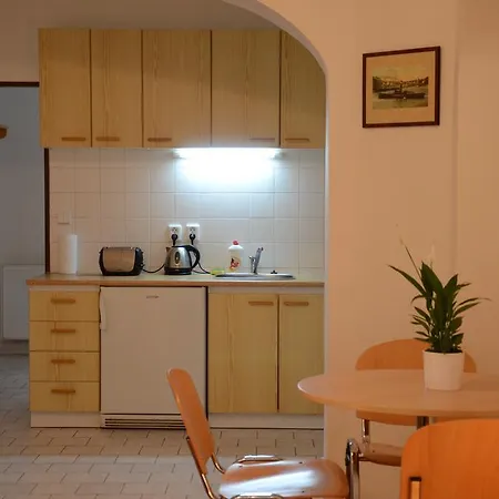 Apartment Karlin Prague