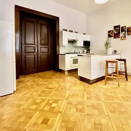Spacious Cozy In Centre Apartment *