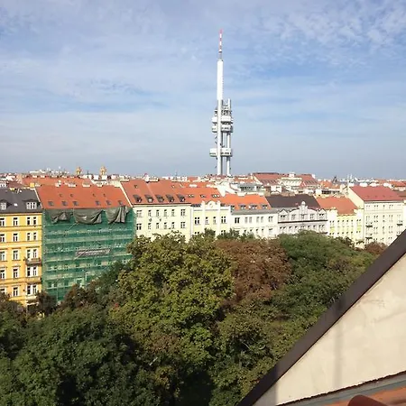 Apartment Penthouse In Vinohrady Prague