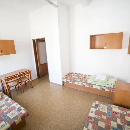 Dizzy Daisy Hostel *