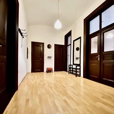 Spacious Cozy In Centre Apartment