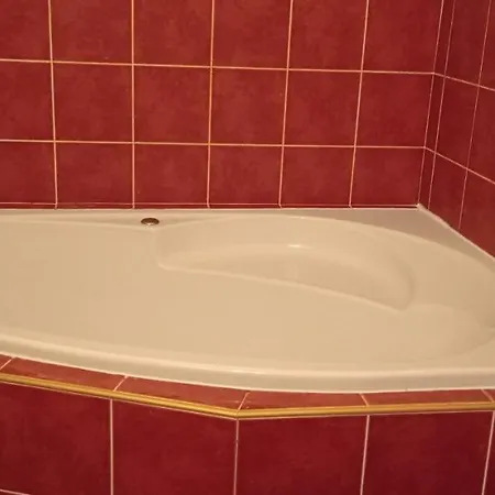 Hotel U Zlateho Jelena 4*