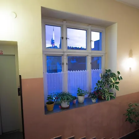 Victor Hotel 3*