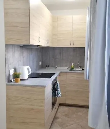 Cozy 1-br Apt. Vt Near Wenceslas Sq. *