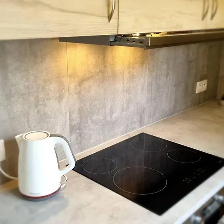 Cozy 1-br Apt. Vt Near Wenceslas Sq.