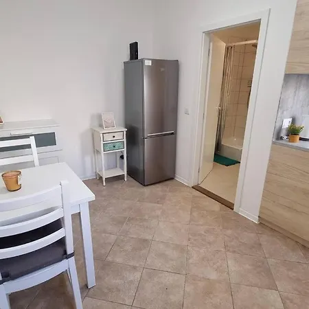 Cozy 1-br Apt. Vt Near Wenceslas Sq. Prague