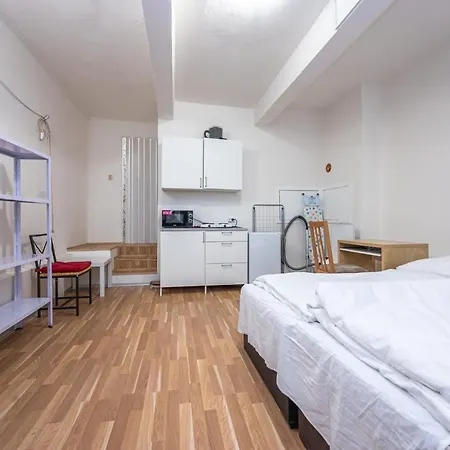Dittrichova Apartment