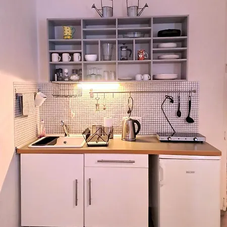 Magnificent In The Center Of Apartment Prague