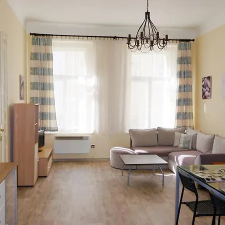 Big In The Center Apartment Prague