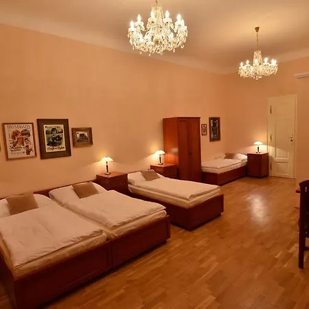 Guest house Karlova 3*