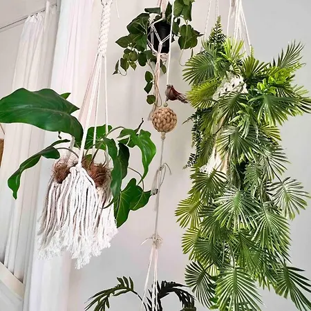 Quiet Boho Whit A Balkony Near The Center *