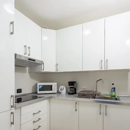 Apartment 3bdr Penthouse With Terrace&ac Prague