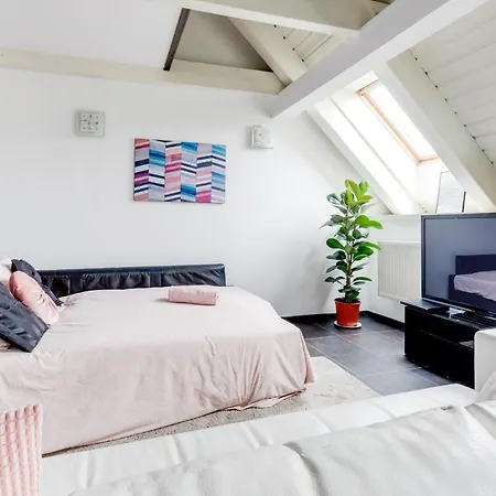 Spacious Stylish Attic In The Heart Of The Center - Karlovo Apartment