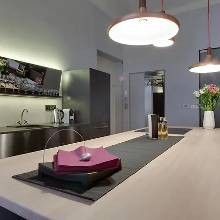 Luxurious Loft Old Town Apartment *