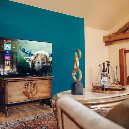Magnificent Historical Penthouse In The Heart Of Prague