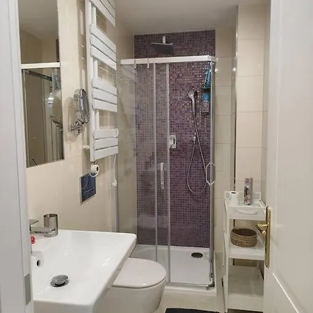 Studio With Balcony In Vinohrady *
