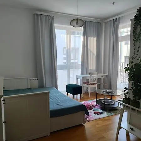 Studio With Balcony In Vinohrady
