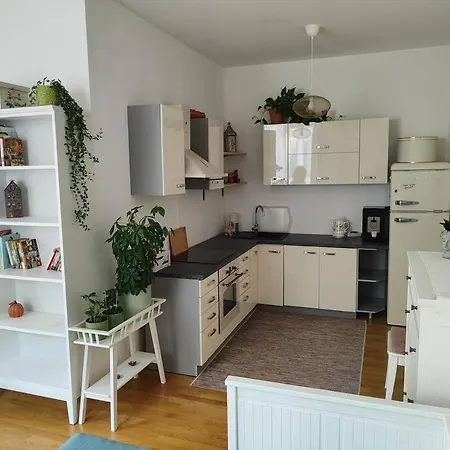 Studio With Balcony In Vinohrady Prague
