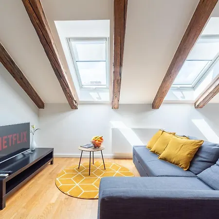 Duplex With Ac In Center Prague