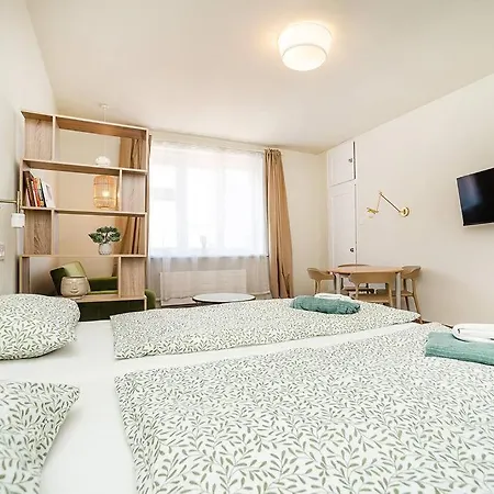Modern With Balcony, Tv Prague