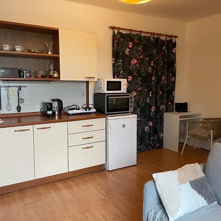 Podkrovni Byt 1kk Apartment *