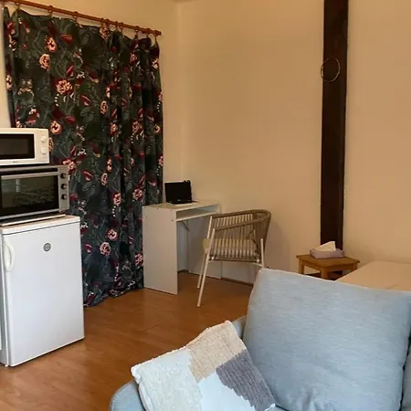 Apartment Podkrovni Byt 1kk