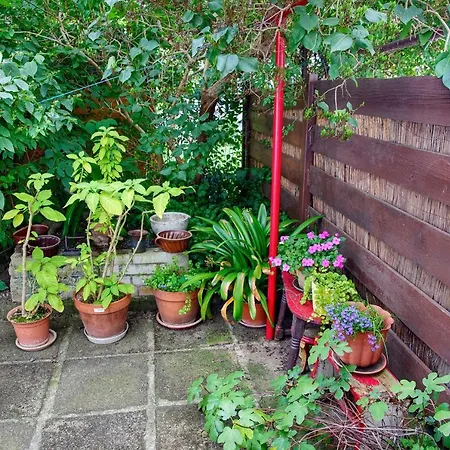 Garden In The Apartment *